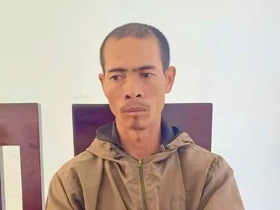 Gia Lai: Anh rể lĩnh án vì chặt phá vườn cà phê, hồ tiêu của em vợ