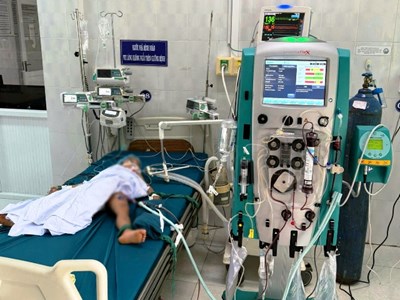 Một cháu bé tử vong vì bị ong vò vẽ 