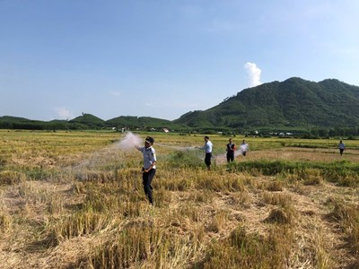 Khánh Hòa: Tăng cường bảo vệ đàn chim yến