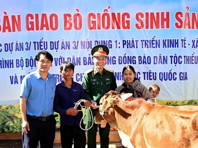 Gia Lai: Tặng 42 con bò giống cho đồng bào DTTS và hộ nghèo