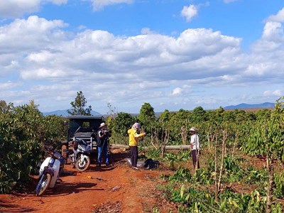 Gia Lai: Khẩn trương chi trả bồi thường, giải phóng mặt bằng Dự án cao tốc Quy Nhơn - Pleiku
