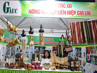 Gia Lai: Phố ẩm thực Diên Hồng - không gian trải nghiệm hấp dẫn về đêm 