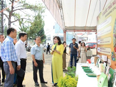 Gia Lai: Trải nghiệm không gian cà phê đặc sản, sản phẩm OCOP