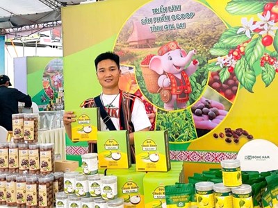Gia Lai: Tăng cường quảng bá sản phẩm OCOP và đặc sản địa phương phục vụ Năm Du lịch quốc gia 2026
