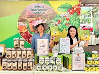 Gia Lai: Đẩy mạnh kết nối giao thương nông sản, sản phẩm OCOP