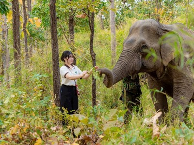  “Thắp lửa” du lịch cộng đồng