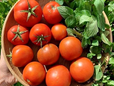  5 thực phẩm không nên bảo quản trong tủ lạnh