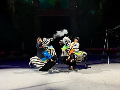 Liên đoàn Xiếc Việt Nam rộn ràng khai xuân với “Ngựa du xuân ba miền”