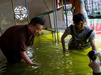 Câu chuyện phía sau tấm mành tre thủy đình 
