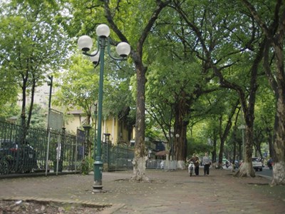 Một Hà Nội dung dị trong “Hoa sữa về trong gió”