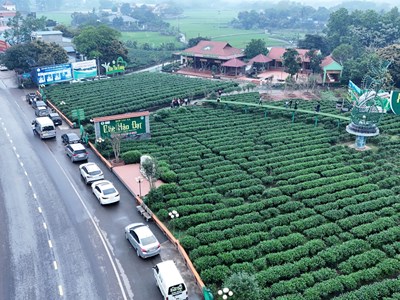 Thái Nguyên thúc đẩy xây dựng nông thôn mới gắn với giảm nghèo bền vững