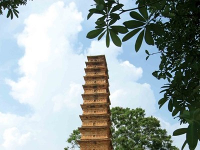 Phát huy giá trị di tích quốc gia đặc biệt tháp Bình Sơn gắn với phát triển du lịch