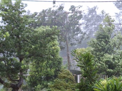 Hôm nay, bão số 3 đổ bộ các tỉnh Bắc Bộ