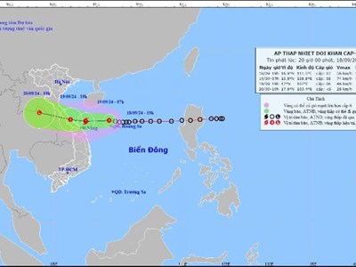 Tập trung ứng phó áp thấp nhiệt đới có khả năng mạnh lên thành bão và mưa lũ
