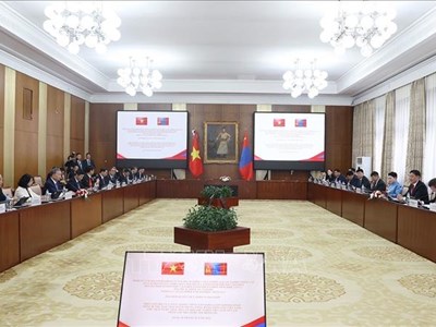 Tổng Bí thư, Chủ tịch nước Tô Lâm hội đàm với Tổng thống Mông Cổ 