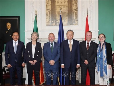 Tổng Bí thư, Chủ tịch nước Tô Lâm gặp Chủ tịch Thượng viện và Phó Chủ tịch Hạ viện Ireland