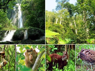 Thành lập mới 61 khu bảo tồn đa dạng sinh học quốc gia