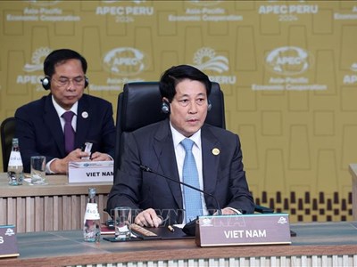 Chủ tịch nước Lương Cường tham dự Đối thoại giữa các Nhà Lãnh đạo APEC và các khách mời