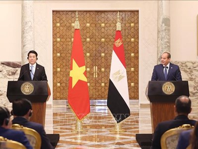 Tuyên bố chung nâng cấp quan hệ Đối tác Toàn diện Việt Nam - Ai Cập