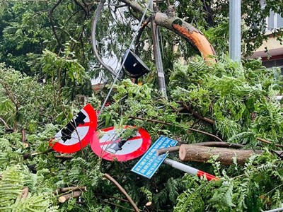 Tập trung khắc phục hậu quả bão số 5 và ứng phó mưa lũ sau bão