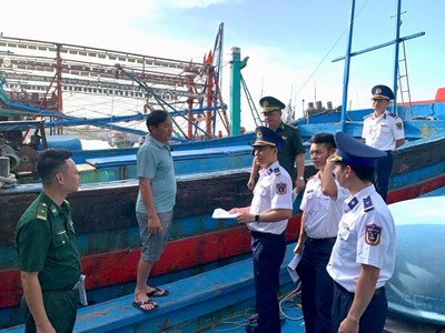 Không thực hiện việc khai báo hoặc khai báo không chính xác thông tin xuống, rời tàu bị phạt tới 10 triệu đồng