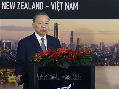 Tổng Bí thư, Chủ tịch nước Tô Lâm dự Hội nghị bàn tròn doanh nghiệp New Zealand - Việt Nam