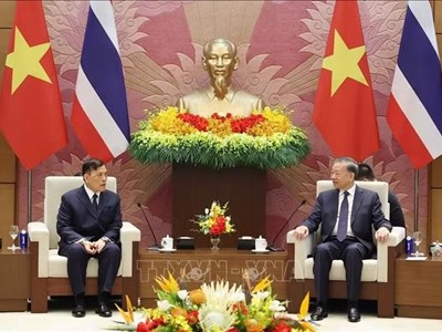 Tổng Bí thư, Chủ tịch nước Tô Lâm hội đàm với Nhà vua Thái Lan