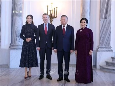 Tổng Bí thư, Chủ tịch nước Tô Lâm hội kiến Nhà vua Frederik X
