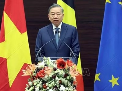 Phát biểu của Tổng Bí thư, Chủ tịch nước Tô Lâm tại Viện Quan hệ Quốc tế Hoàng gia Egmont