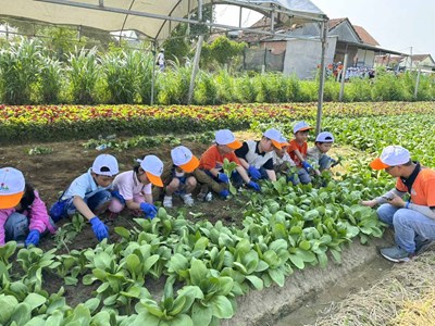 Bình Định tìm giải pháp sản xuất, tiêu thụ để nông sản phát triển bền vững