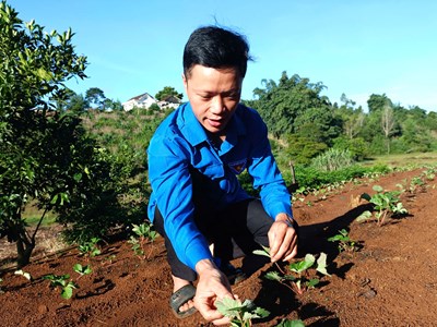 Khi thanh niên người Mường làm du lịch cộng đồng ở “cổng trời”