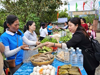 Thúc đẩy bình đẳng giới vùng đồng bào DTTS và miền núi