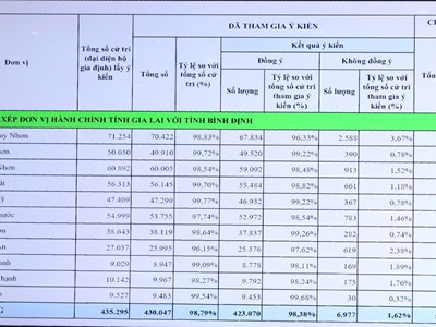 Lấy ý kiến, Bình Định có hơn 98% cử tri đồng ý sáp nhập với tỉnh Gia Lai