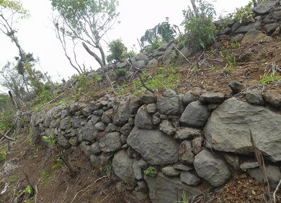 Cho phép khai quật khảo cổ tại 3 địa điểm thuộc di tích Trường Lũy Bình Định