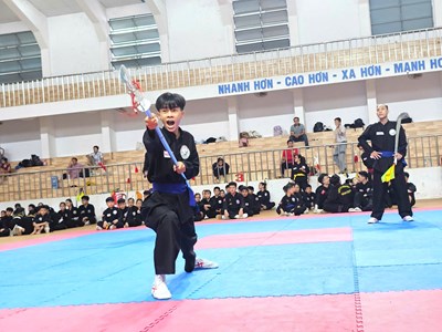 Gần 200 võ sinh thi nâng đai Võ cổ truyền Bình Định