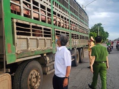 Gia Lai tăng cường phòng chống dịch tả lợn châu Phi