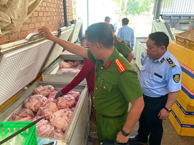 Gia Lai tiêu hủy hơn 4 tấn thịt heo không rõ nguồn gốc