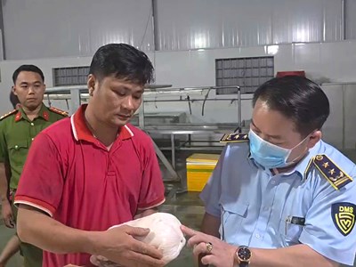 Gia Lai: Phạt 90 triệu đồng hộ kinh doanh lưu trữ hơn 100 tấn thịt lợn không nguồn gốc