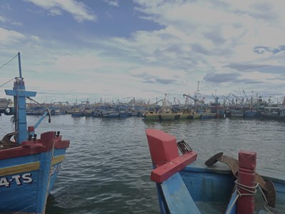 Khẩn trương kêu gọi 141 tàu cá Gia Lai di chuyển khỏi vùng nguy hiểm bão Bualoi