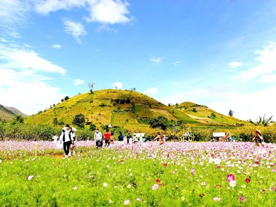 Gia Lai hướng tới mục tiêu tăng trưởng 2 con số