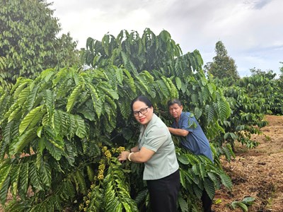 Lan tỏa phong trào “Dân vận khéo” ở miền biên viễn Đức Cơ 