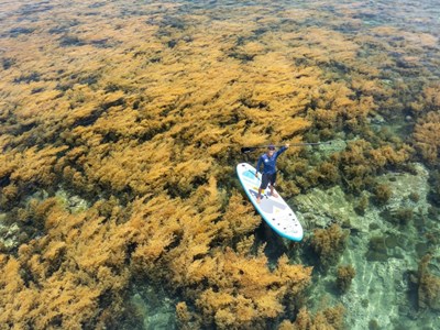 Làng chài ở bán đảo Phương Mai “trình làng” sản phẩm hút khách du lịch