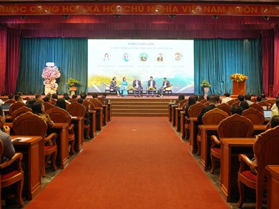 Du lịch Gia Lai: Nơi đại ngàn chạm biển xanh