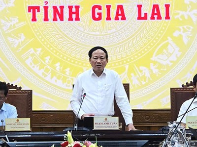 Gia Lai mạnh tay xử lý trường hợp trục lợi, găm hàng hay kê giá bất hợp lý