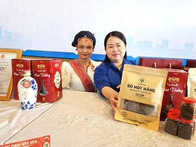 Năm Du lịch quốc gia 2026, Gia Lai “trình làng” sản phẩm OCOP, đặc sản hút khách du lịch