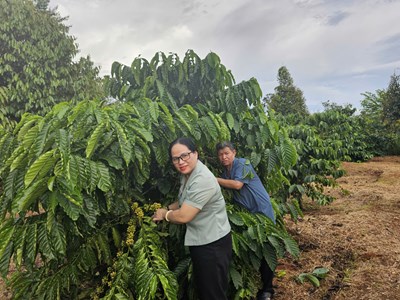 Gia Lai triển khai Đề án phát triển đội ngũ cán bộ, công chức, viên chức người dân tộc thiểu số