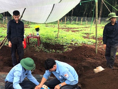 Gia Lai tìm thấy hài cốt liệt sĩ cùng nhiều di vật tại rẫy cà phê ở Ia Phí