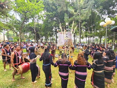 Gia Lai giữ nguyên quy mô, điểm hẹn hoa dã quỳ sẵn sàng bùng nổ
