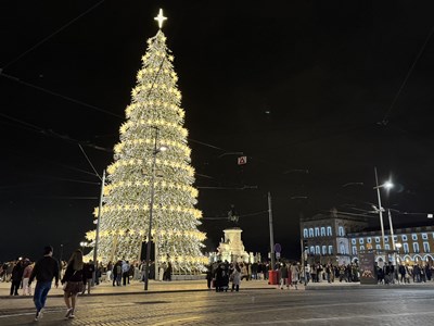 Lisbon rộn ràng mùa Giáng sinh