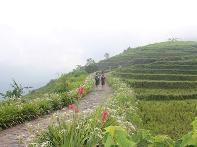 Vì sao Việt Nam lọt top 20 điểm đến “trốn rét” lý tưởng nhất thế giới?